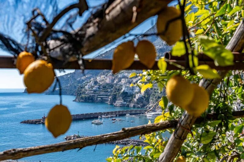 Lemons & Breathtaking Views: Amalfi Monumental Garden Tour - Final Thoughts: Who Should Book This Tour?