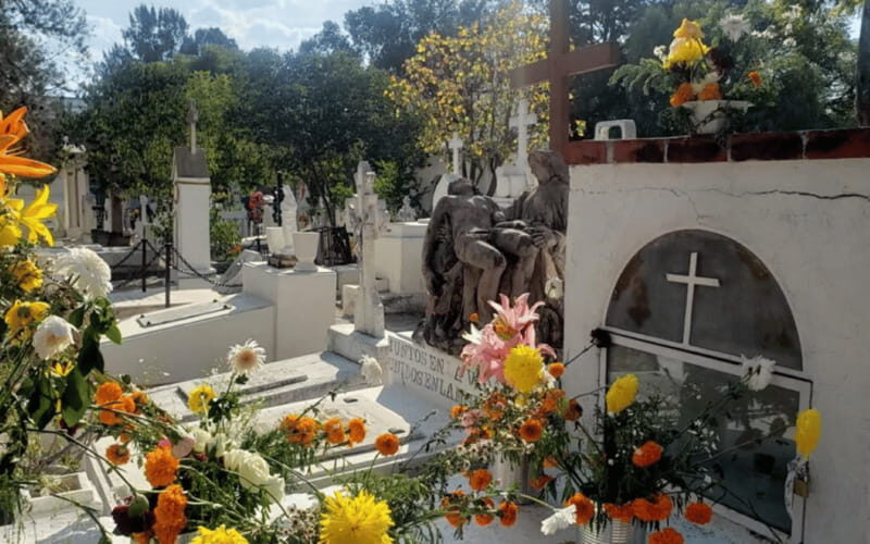 Leon: Dolores Hidalgo and Atotonilco Day Trip - Transportation and Guide Experience