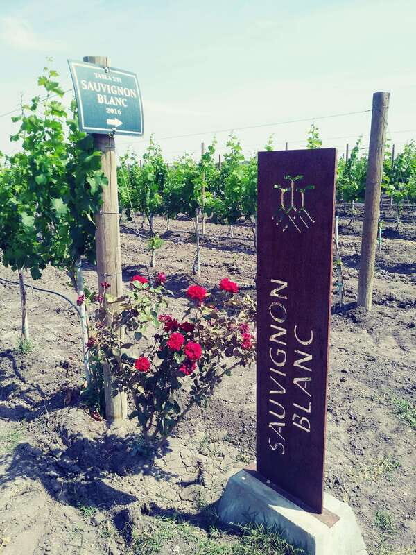 Leon: Dolores Hidalgo Viñedo Tres Raíces Wine Tour - FAQ