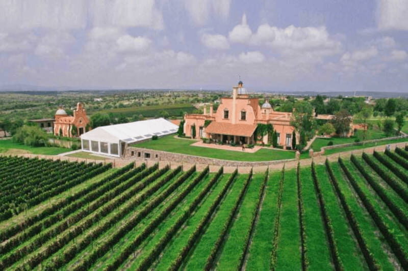 Leon: Viñedo Tierra de Luz Tour with Wine Tasting - Final Thoughts