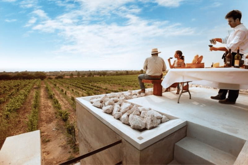 León: Wine Tasting & Vineyard Tour at Viñedo Jalpense - The Experience Begins: A Vineyard Journey in Guanajuato