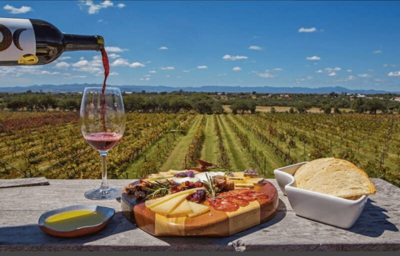 León: Wine Tasting & Vineyard Tour at Viñedo Jalpense - Final Thoughts: The Authentic Mexican Wine Experience