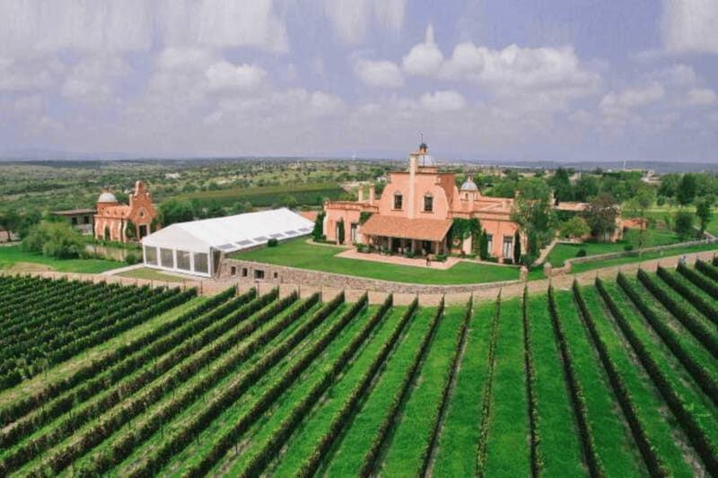 León: Wine Tasting & Vineyard Tour at Viñedo Jalpense - FAQ