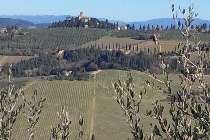 Leonardo da Vinci Voyage with Olive Oil, Food and Wine Dream - What Makes This Tour Stand Out?