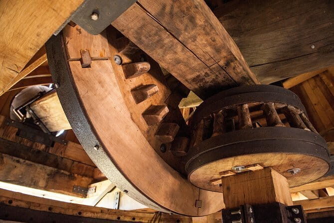 Leonardo Da Vinci's wind mill visit and Organic olive oil tasting - Key Points