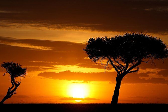 Leopard Safari Tour in Yala National Park - Final Words