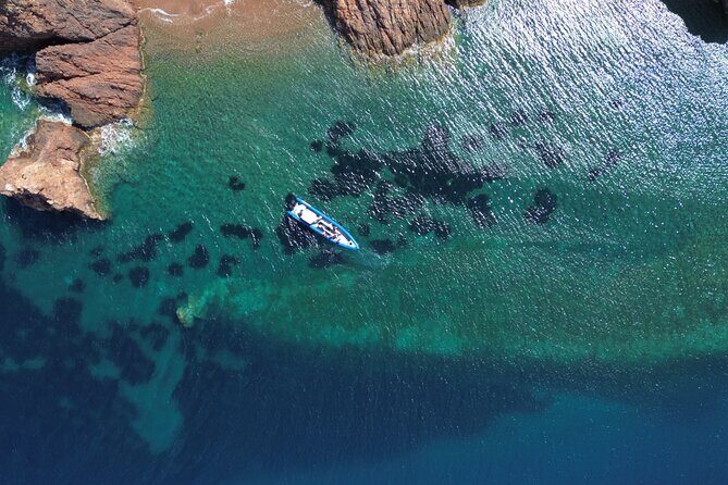 Lerins Islands Boat Excursion From Nice - Pricing and Value