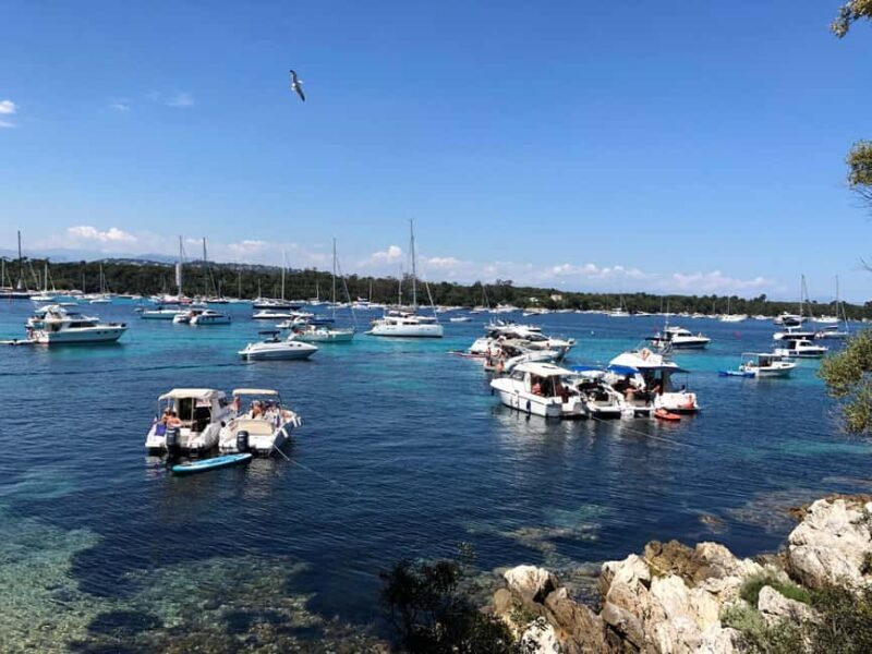 Lérins Islands Cruise and Snorkeling - The Sum Up: Is this Cruise Right for You?
