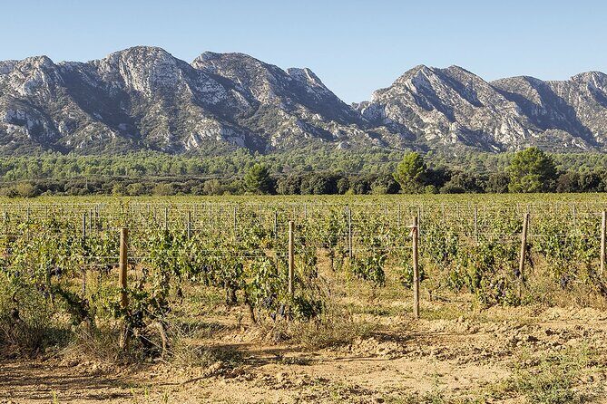 Les Baux de Provence : Wine day Tour : 7 hours - FAQs