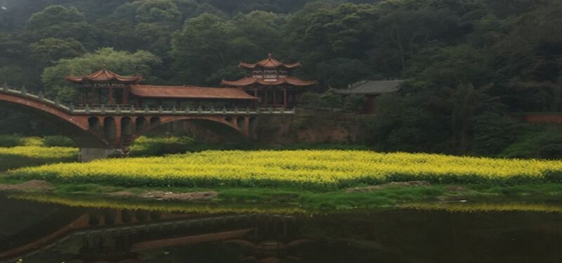 Leshan Buddha, Tea House&Mt. Emei 2 Days Private tour - What Makes This Tour Stand Out?