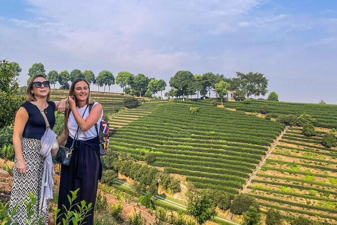 Leshan Giant Buddha day tour with tea Tasting Terrace view - Key Points