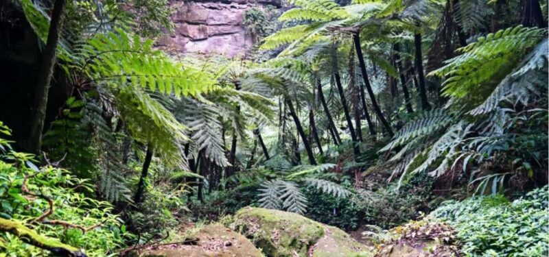 Leshan Giant Buddha Private Tour & Jurassic Expedition - Key Points