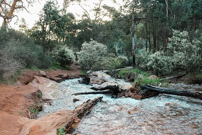Lesmurdie Falls Scenic Sunset Guided Hike - The Sum Up: Why This Hike Is a Worthwhile Choice