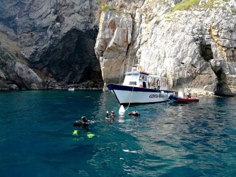 L'Estartit: Dive and Snorkeling in Montgrí Natural Park - Key Points