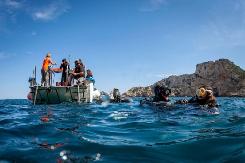 L'Estartit: Dive and Snorkeling in Montgrí Natural Park - Why This Experience Matters