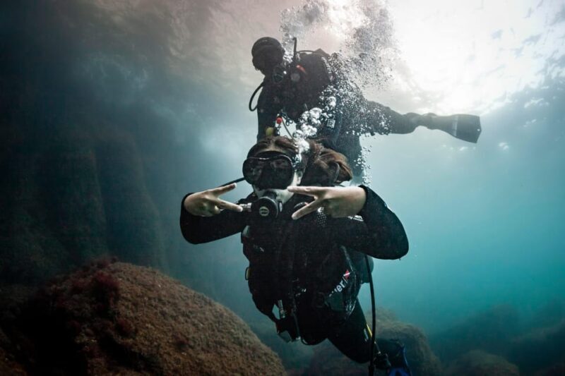 L'Estartit: Dive and Snorkeling in Montgrí Natural Park - What’s Included and What’s Not