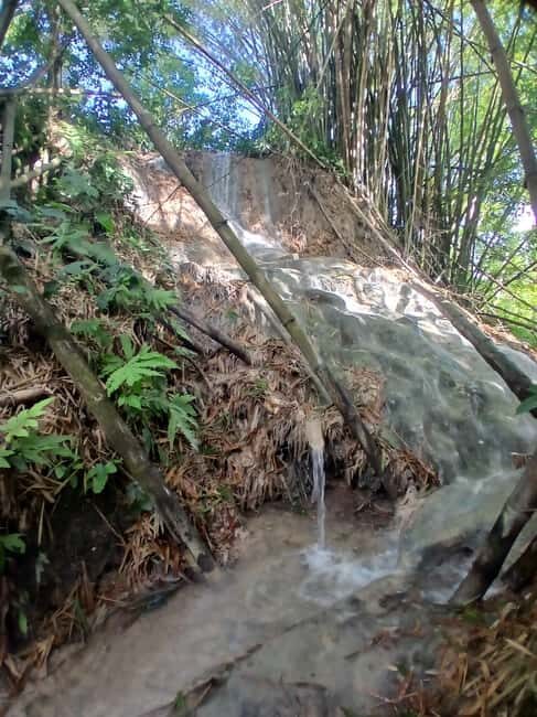 Lethe Mountain Valley Hiking - Discover the Natural Beauty of Cornwall County, Jamaica