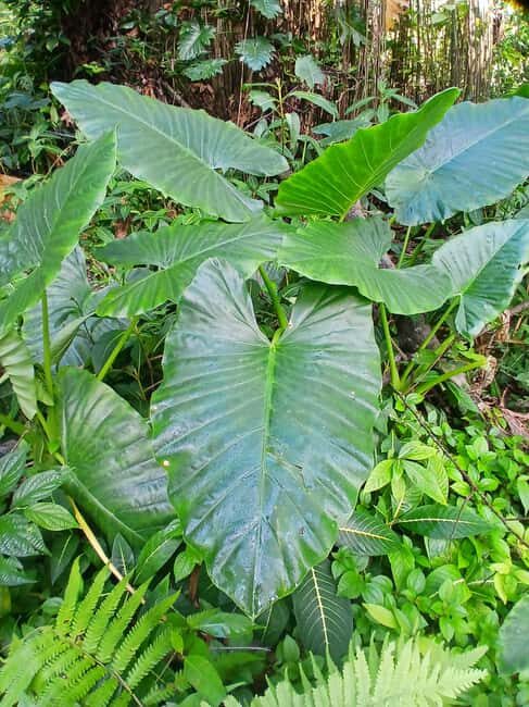 Lethe Mountain Valley Hiking - Who Should Consider This Tour?