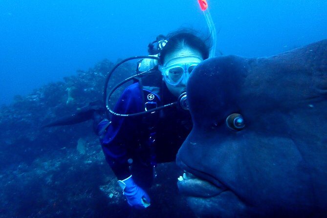Let's enjoy Scuba diving in Izu Peninsula for certificate Diver - FAQ