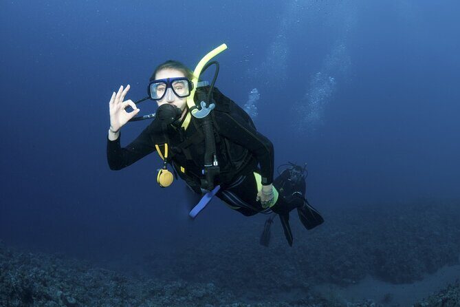 Lets Go Diving with pickup from hotel - A Closer Look at the "Lets Go Diving" Experience in Kos