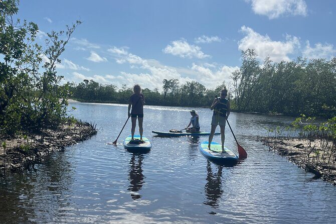 Lets Paddle! Jupiter & surrounding areas - Exploring “Lets Paddle! Jupiter & Surrounding Areas” — A Relaxed Water Adventure