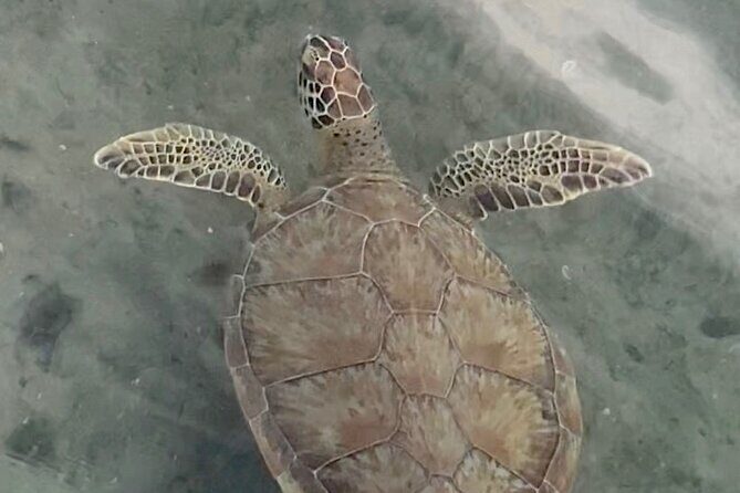 Lets Paddle! Jupiter & surrounding areas - Analyzing the Value and Experience