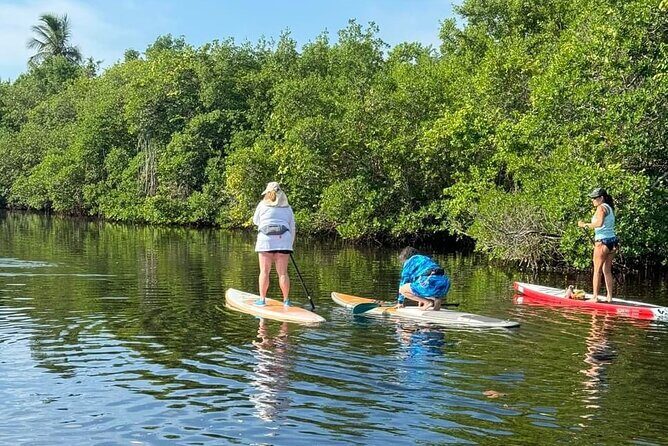 Lets Paddle! Jupiter & surrounding areas - Frequently Asked Questions