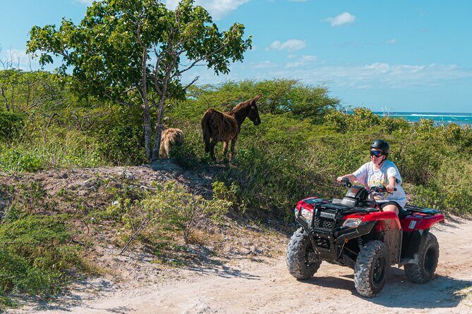 Lets Ride Adventures ATV Tour in Grand Turk - Itinerary Breakdown