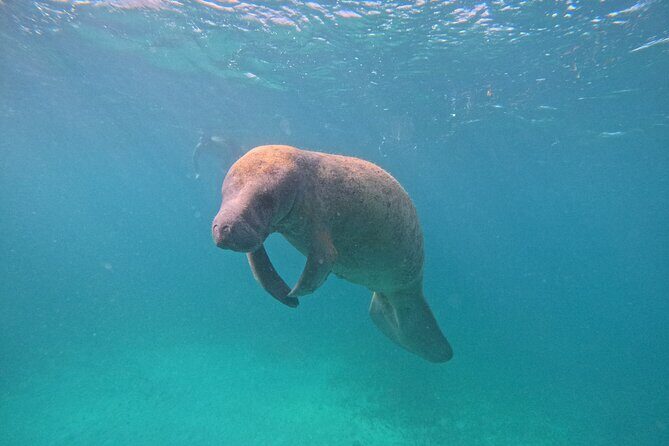 Let's snorkel Hol Chan the Best Marine Reserve in Belize - FAQ