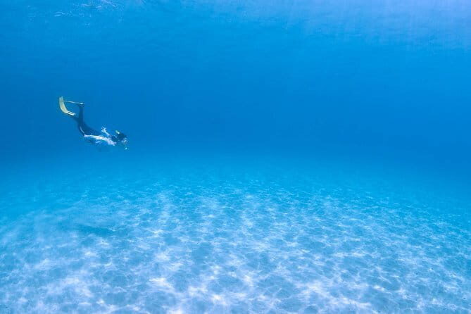 Let's swim with sea turtles in Yakushima!Snorkeling Tour - An Authentic Snorkeling Adventure with Sea Turtles in Yakushima