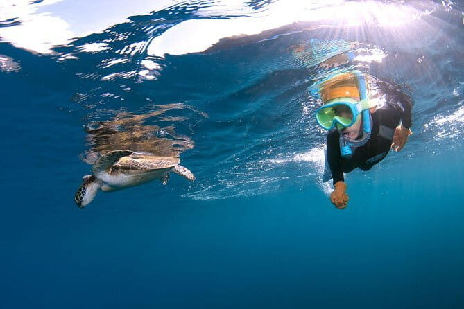 Let's swim with sea turtles in Yakushima!Snorkeling Tour - Exploring Yakushimas Snorkeling Tour in Detail