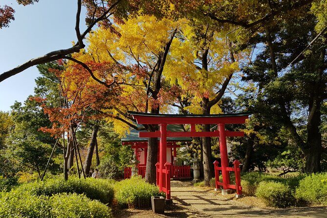 Let's take a walk in the park together!!! - An In-Depth Look at the Experience