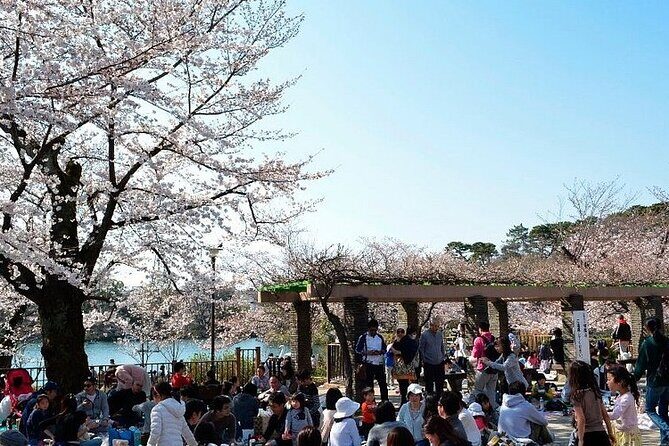 Let's take a walk in the park together!!! - FAQs