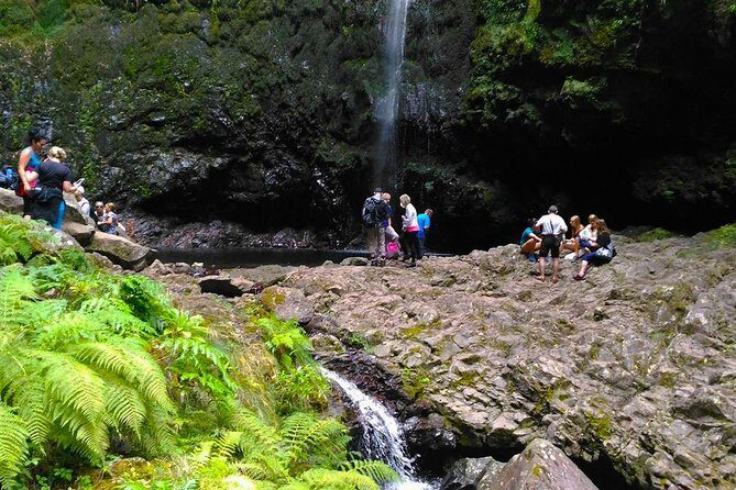 Levada do Caldeirão Verde Levada Walk from Funchal - Authentic Experiences and Traveler Insights
