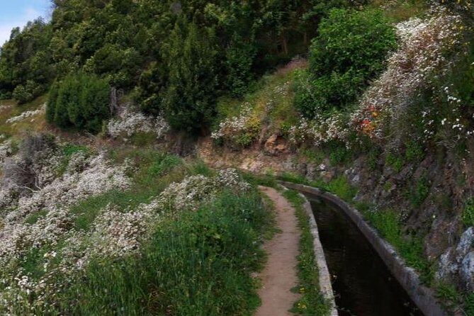 Levada do Norte Quinta Grande Levada walk - An In-Depth Look at the Quinta Grande Levada Walk