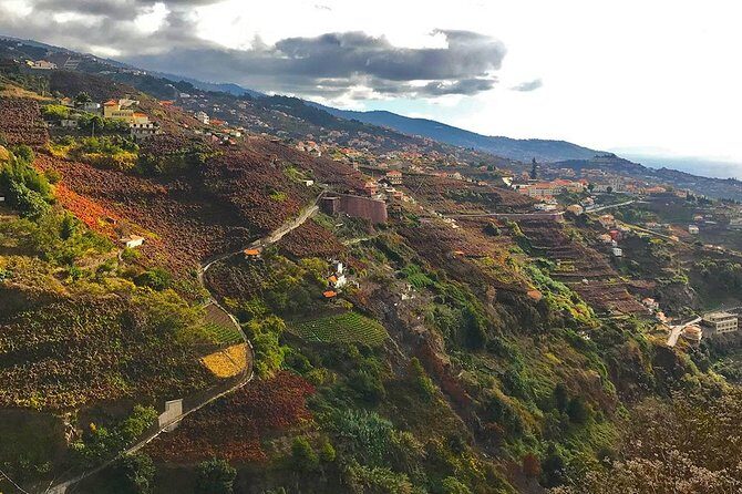 Levada do Norte - Walking Tour - The Sum Up