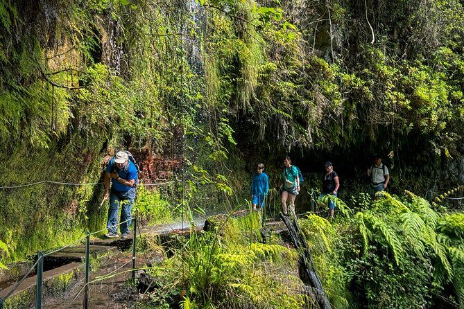 Levada do Rei (PR18) - Through Madeira's Majestic Laurissilva - Key Points