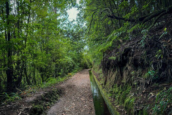 Levada do Rei (PR18) - Through Madeira's Majestic Laurissilva - FAQ