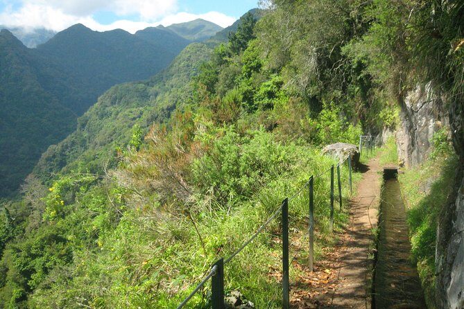Levada do Rei - Ribeiro Bonito (Full Day Walk) - A Closer Look at the Levada do Rei - Ribeiro Bonito Full Day Walk