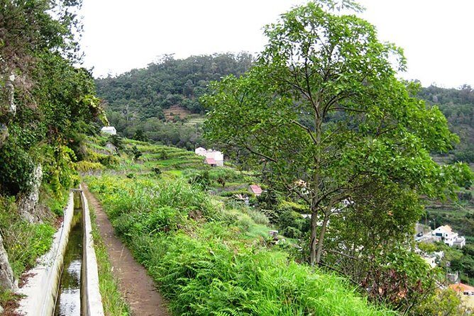 Levada dos Maroços - FAQs