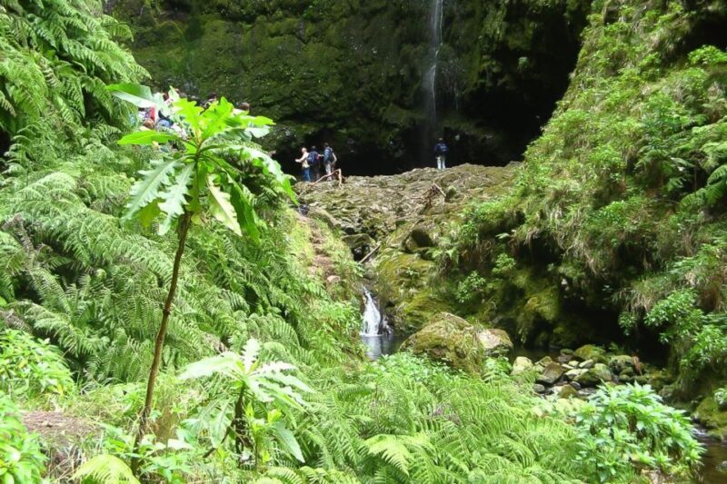 Levada Walk and Caldeirao Verde Waterfalls: Madeira - A Detailed Look at the Madeira Levada Adventure