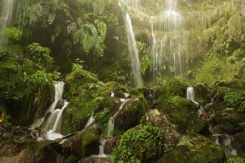 Levada Walk and Caldeirao Verde Waterfalls: Madeira - The Value of This Experience