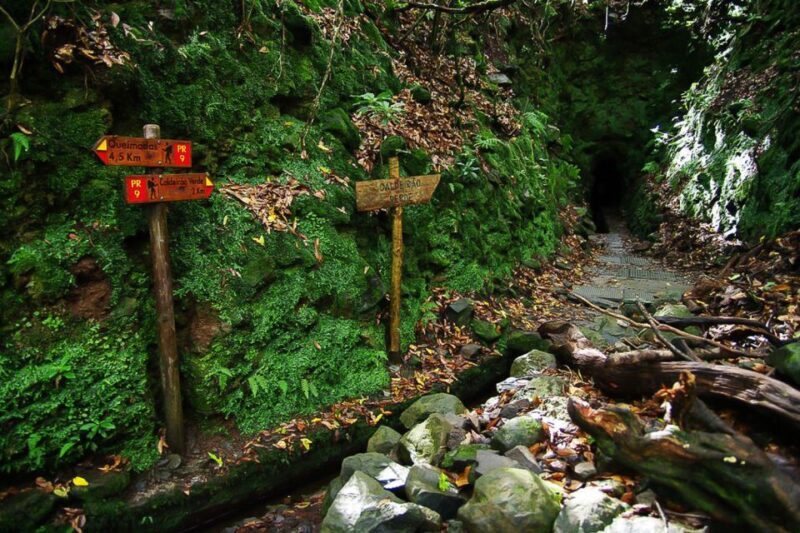 Levada Walk and Caldeirao Verde Waterfalls: Madeira - The Sum Up