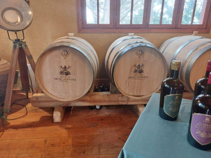 Levada Walk, Cider Tasting & Lunch - Who This Tour is Best For