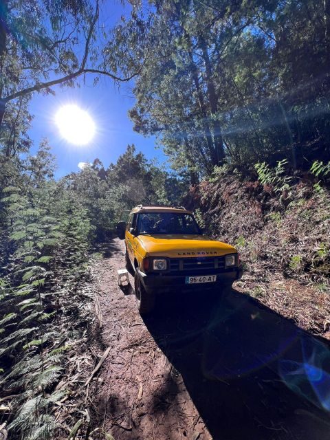 Levada Walk East Santana Full-Day Jeep Tour, Pico do Arieiro - Levada Walks and Off-Road Explorations