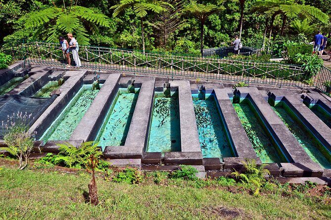 Levada Walk from Ribeiro Frio to Portela - FAQs