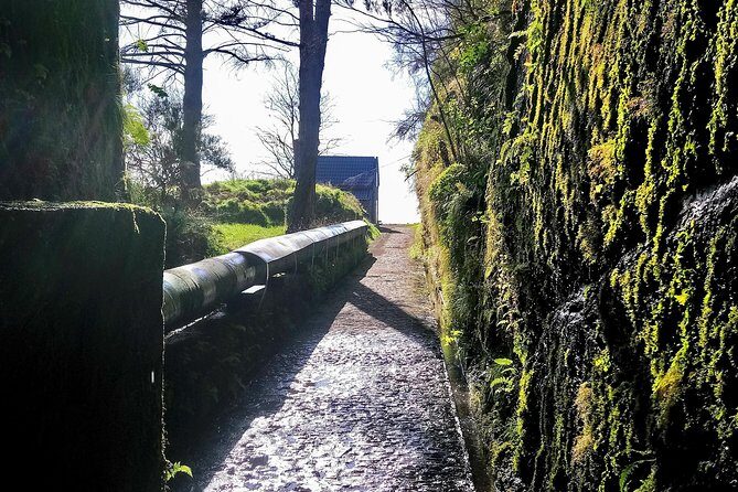 Levada & Waterfalls Hike 25 Fountains, Rabaçal, Risco more Challenging Walk - Who Should Book This Tour?