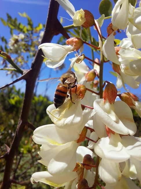 Levanto: Hiking Tour with Creative Workshop! - Final Word