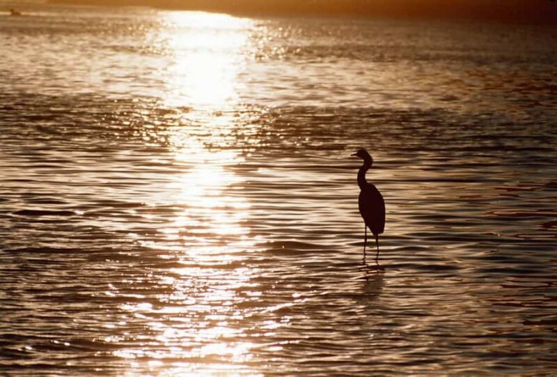 Level 1 Rafting: on the Copalita River from Huatulco - Experience the Calm of the Copalita River: A Light and Scenic Rafting Adventure from Huatulco