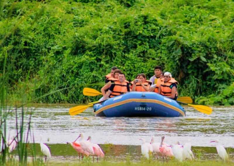 Level 1 Rafting: on the Copalita River from Huatulco - The Experience Through Reviews: Authentic Perspectives